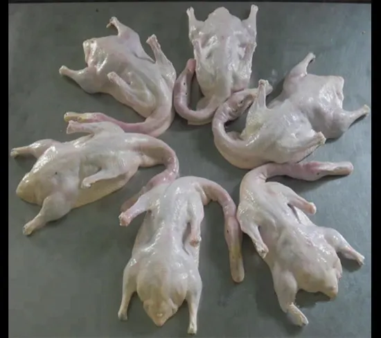 Chinese Packed Frozen Boneless Marinated Whole Duck Meat