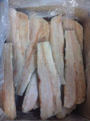 Msc Frozen Hoki Fillet, Hoki Portion