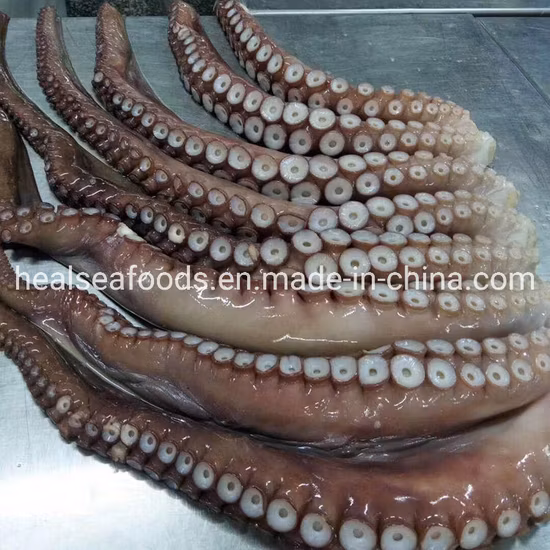 Seafood Frozen Fresh Giant Squid Tentacles