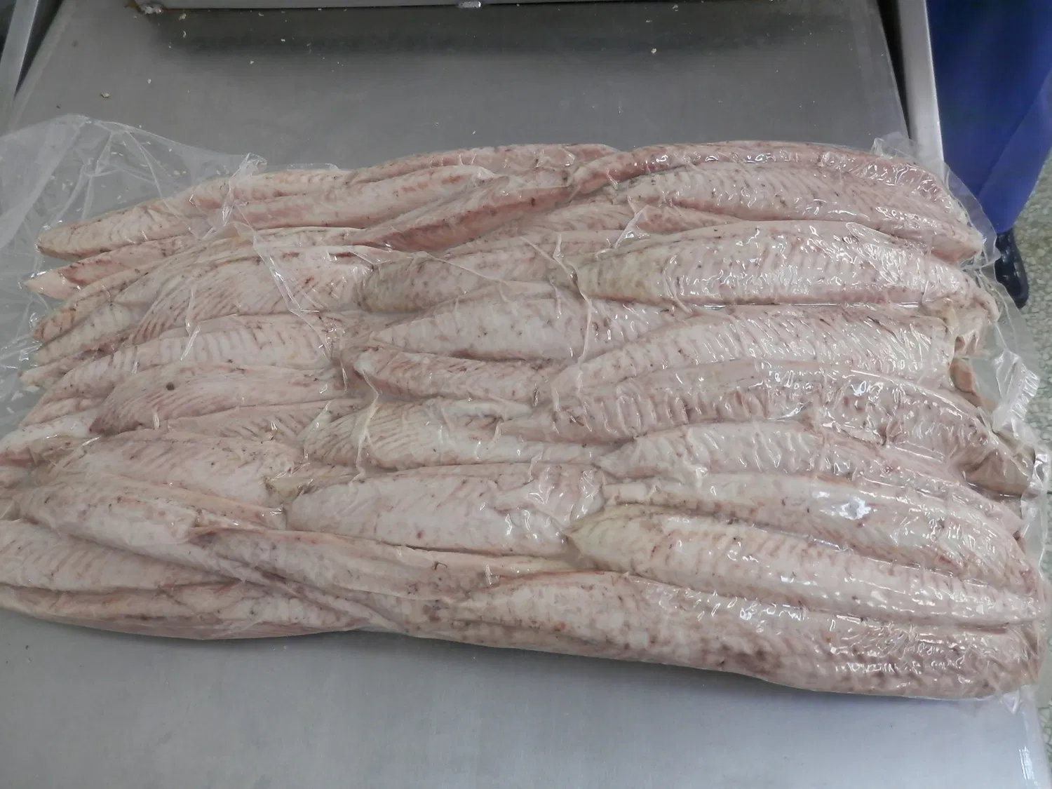 Frozen Precooked Sarda Tuna Loin, IQF