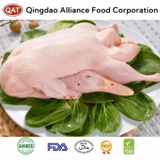 Chinese Packed Frozen Boneless Marinated Whole Duck Meat