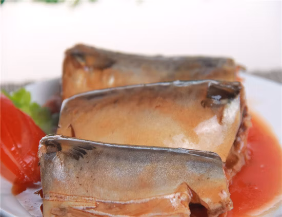 Factory Frozen Mackerel Fish Fillet Canned in Tomato Sauce Export to Europe